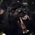 :iconsythuswolf:
