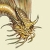 :iconszasdragon: