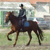 :iconszasolya: