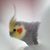 :iconszep: