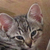 :iconszubidubikendens: