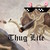 :icont0xicha5ard: