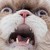 :icont0xikissa: