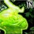 :icont4rn1sh: