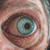 :icont-douglas-painting: