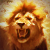:icont-servire: