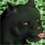 :icont-terror15: