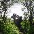 :icont-urquoise-bear: