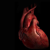 :iconta-scherit: