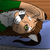 :icontabbicatt: