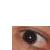:icontabrishinji: