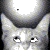 :iconTabytat62: