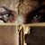 :icontacitassilence: