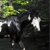 :icontackleomg: