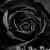 :icontacothefatcat13x0: