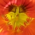 :icontad102: