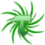 :icontaderadeva: