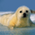 :icontadlephotography: