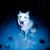 :icontadmarker: