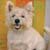 :icontaffy-is-cute: