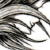 :iconTagami-Crown: