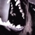 :icontagedieb: