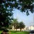 :icontahani75: