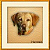 :icontaiga91hc: