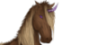 :icontaigasofdarea: