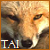 :icontaikitsune: