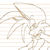:icontailsfan19:
