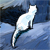:icontailslee: