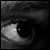 :icontailyhn: