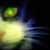 :icontaimuko: