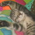 :icontainted-peaches: