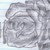 :icontainted-pure: