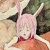 :icontainted-white: