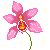 :iconTaintedDeadRose: