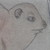 :icontaiomah: