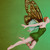 :icontaitina94:
