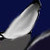 TAJ12340 :icontaj12340: