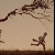 :icontaka-laka: