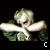 :iconTaka-squee: