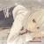 :icontakamoto12: