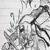 :icontakau9blazed: