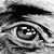 :icontaken-username10: