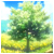 :icontakeshi177: