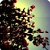 :icontakeyourhope: