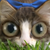 :icontakingtheshot: