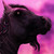 :icontalalt: